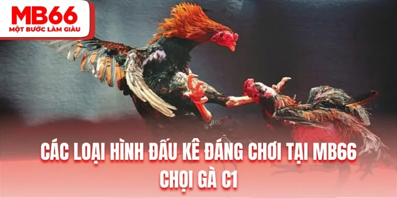 Chinh phục những màn tranh tài C1 chuyên nghiệp