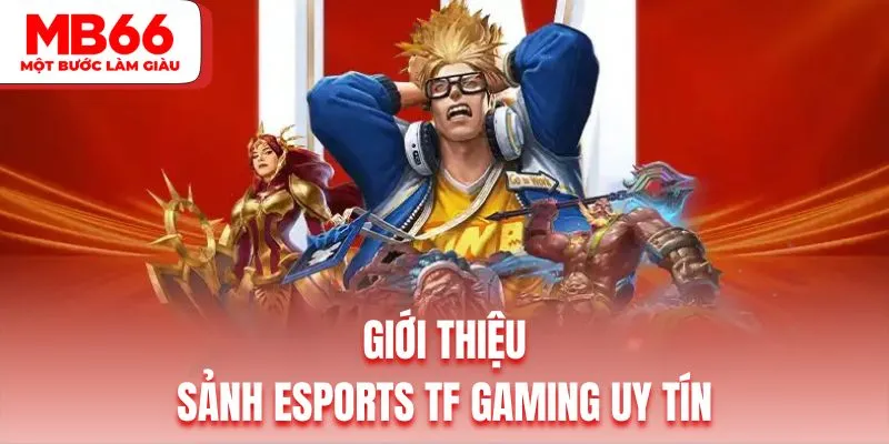Tổng quan sảnh Esports TF Gaming thú vị