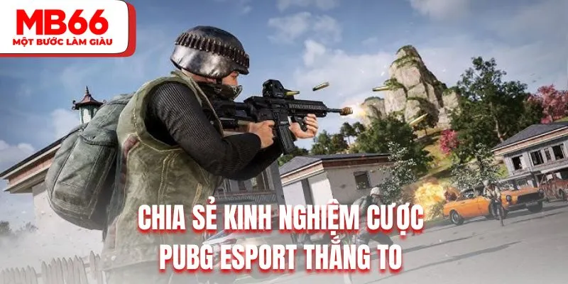 Chia sẻ kinh nghiệm cược PUBG Esport thắng to 