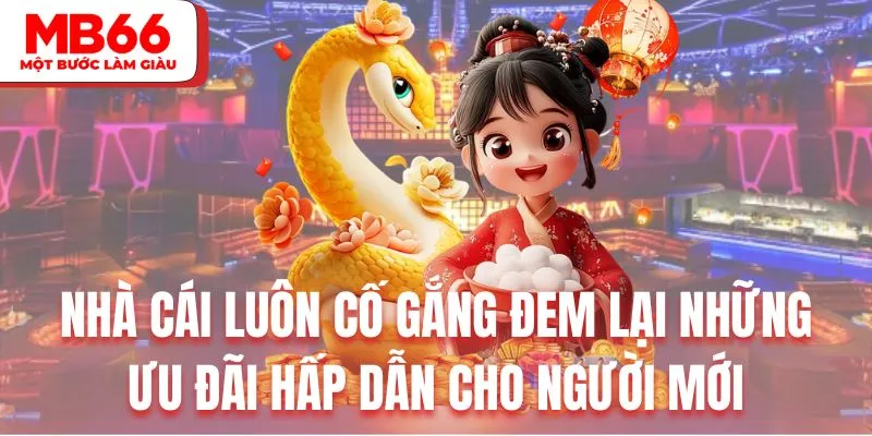 Nhà cái luôn cố gắng đem lại những ưu đãi hấp dẫn cho người mới