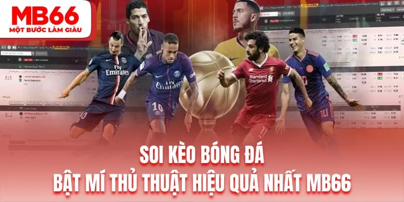 Hội viên thực hiện soi kèo cần cập nhật thông tin liên tục