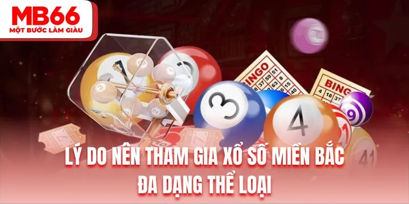 Quay cầu miền Bắc đa dạng thể loại